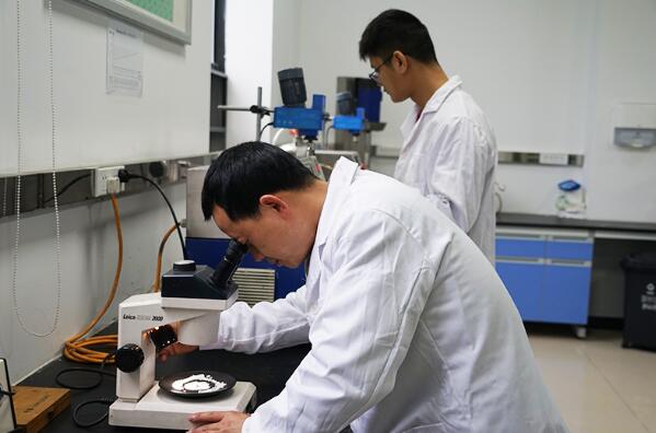 綿竹 搶占新質(zhì)生產(chǎn)力“新賽道”，以技術(shù)開發(fā)驅(qū)動(dòng)高質(zhì)量發(fā)展加速度